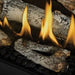 Napoleon Napoleon Birch Log Kit (BLP46) - BLKBLP46 BLKBLP46 Fireplace Accessories