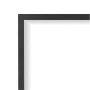 Napoleon Napoleon Black Trims (Ascent D42/DX42 Series) Finish FTD42BK Fireplace Accessories