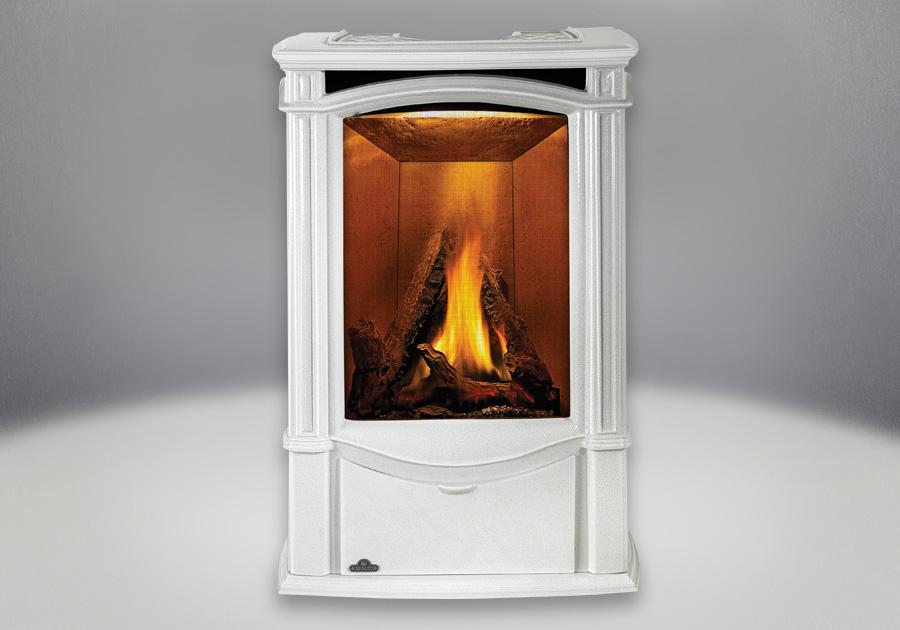 Napoleon Napoleon Castlemore Gas Stove Black GDS26N-1 Fireplace Finished - Gas