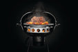Napoleon Napoleon Charcoal Ring and Diffusor Plate - 67745 67745 Barbecue Accessories 629162677457