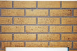 Napoleon Napoleon Decorative Brick Panels (Ascent Series) Sandstone DBPDX42SS Fireplace Accessories