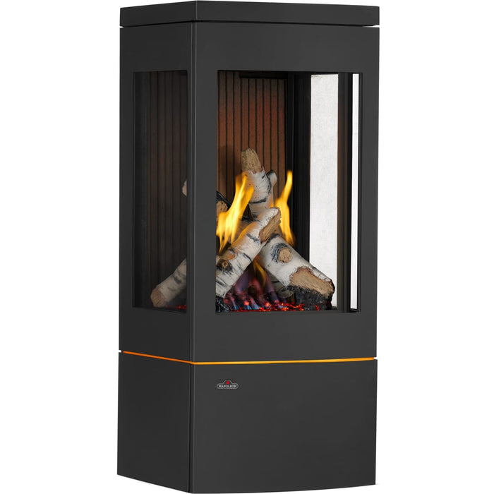 Napoleon Napoleon Elora Gas Stove GDS30LN Fireplace Finished - Gas