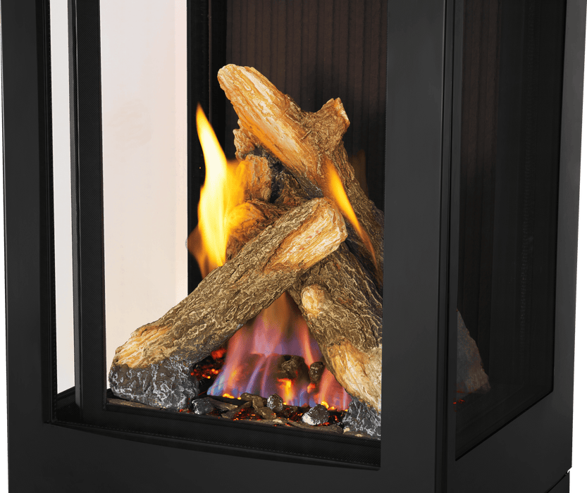 Napoleon Napoleon Elora Gas Stove GDS30LN Fireplace Finished - Gas