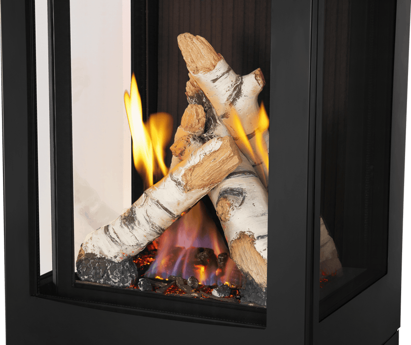 Napoleon Napoleon Elora Gas Stove GDS30LN Fireplace Finished - Gas