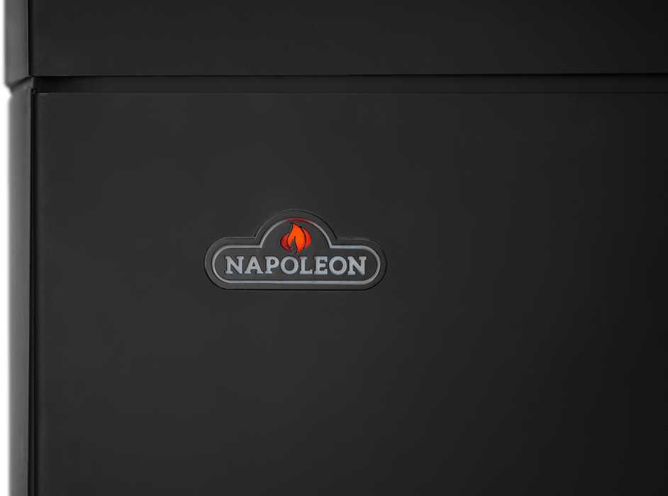Napoleon Napoleon Elora Gas Stove GDS30LN Fireplace Finished - Gas