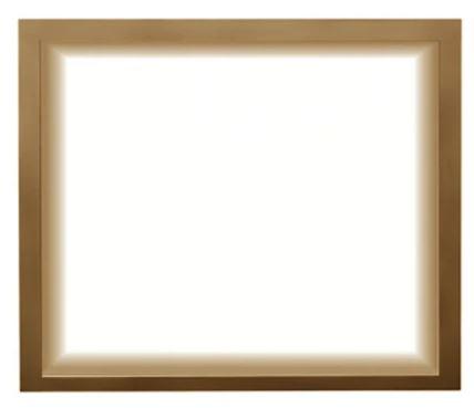 Napoleon Napoleon Finish Trim (Altitude X AX42) Copper FTAX42CP Fireplace Finished - Gas