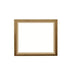 Napoleon Napoleon Finishing Trim - Copper (Elevation X Series) 36" FTEX36CP Fireplace Accessories
