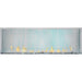 Napoleon Napoleon Galaxy 62 Outdoor Gas Fireplace GSS62NE Fireplace Finished - Gas