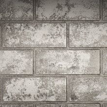 Napoleon Napoleon Glacier Standard Panels (Elevation 42) - DBPEX42GS DBPEX42GS Fireplace Accessories