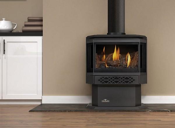 Napoleon Napoleon Haliburton Gas Stove Electronic Ignition GDS28-1NE Fireplace Finished - Gas