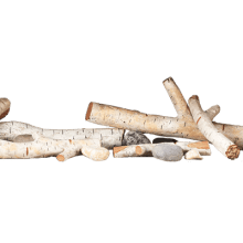 Napoleon Napoleon High Definition Log Kit - Birch (50") - BLKTLV50 BLKTLV50 Fireplace Accessories