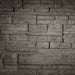 Napoleon Napoleon Ledgestone Decorative Brick Panel (BLP46) - DBPBL46LS DBPBL46LS Fireplace Accessories