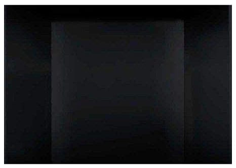 Napoleon Napoleon MIRRO-FLAME Porcelain Radiant Panels - PRP25 PRP25 Fireplace Finished - Gas