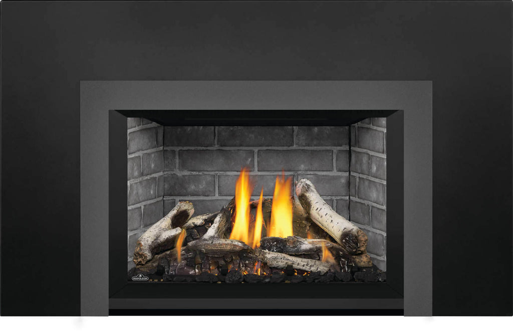 Napoleon Oakville X3 Gas Fireplace Insert — Chadwicks & Hacks
