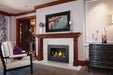 Napoleon Napoleon Oakville X3 Gas Fireplace Insert GDIX3N-1 Fireplace Finished - Gas
