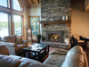Napoleon Napoleon Oakville X4 Gas Fireplace Insert GDIX4N-1 Fireplace Finished - Gas