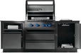 Napoleon Napoleon Oasis 300 Bundle - Built-In 700 Series 32" w/ Infrared Rear Burner Barbecue Finished - Gas