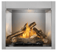 Napoleon Napoleon Riverside 36 Clean Face Outdoor Gas Fireplace RSS36NE Fireplace Finished - Gas