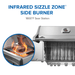 Napoleon Napoleon Rogue PRO 625 SIB Gas Grill (Stainless Steel) - RP625SIBSS-2 Barbecue Finished - Gas