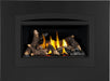 Napoleon Napoleon Rosedale 2 Gas Insert RD2NE Fireplace Finished - Gas