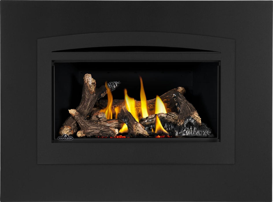 Napoleon Napoleon Rosedale 2 Gas Insert RD2NE Fireplace Finished - Gas