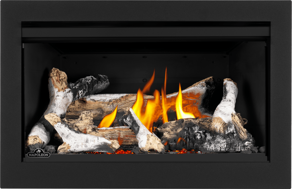 Napoleon Napoleon Rosedale 2 Gas Insert RD2NE Fireplace Finished - Gas