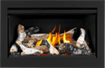 Napoleon Napoleon Rosedale 2 Gas Insert RD2NE Fireplace Finished - Gas