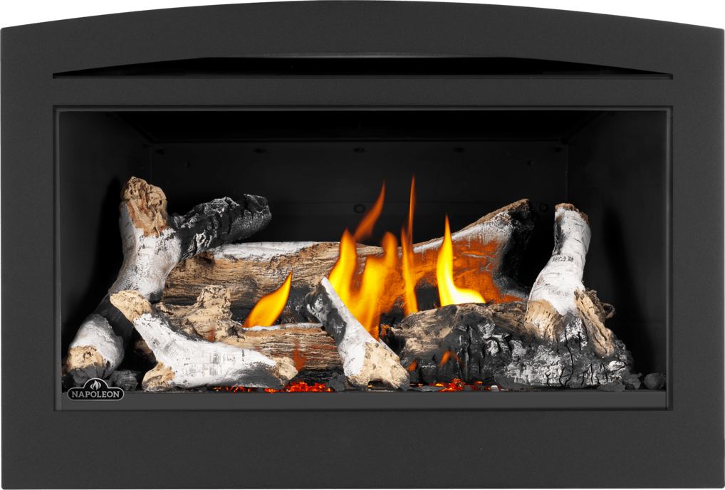 Napoleon Napoleon Rosedale 2 Gas Insert RD2NE Fireplace Finished - Gas