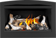 Napoleon Napoleon Rosedale 2 Gas Insert RD2NE Fireplace Finished - Gas