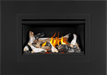 Napoleon Napoleon Rosedale 2 Gas Insert RD2NE Fireplace Finished - Gas