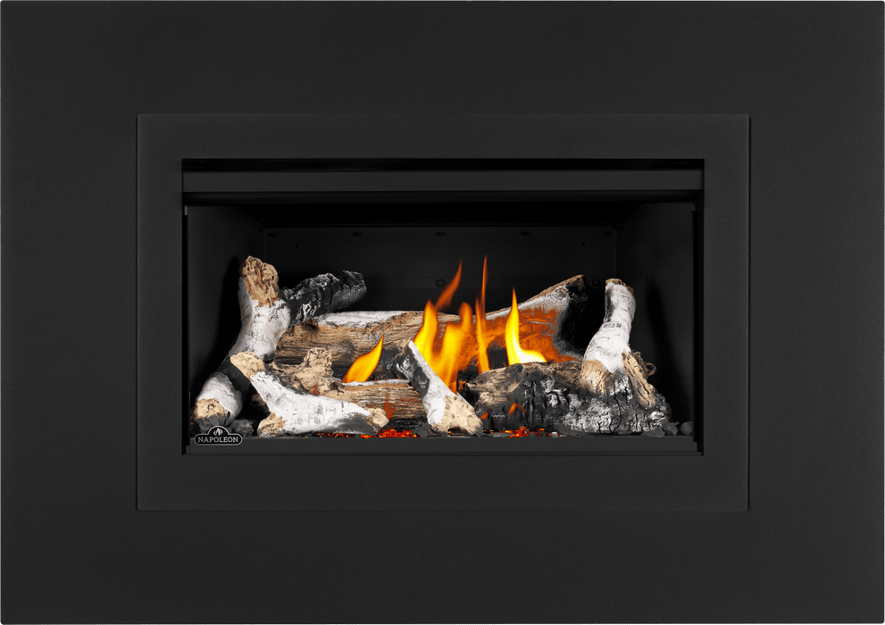 Napoleon Napoleon Rosedale 2 Gas Insert RD2NE Fireplace Finished - Gas