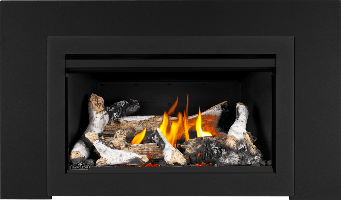 Napoleon Napoleon Rosedale 2 Gas Insert RD2NE Fireplace Finished - Gas