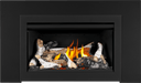 Napoleon Napoleon Rosedale 2 Gas Insert RD2NE Fireplace Finished - Gas