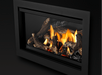 Napoleon Napoleon Rosedale 2 Gas Insert RD2NE Fireplace Finished - Gas