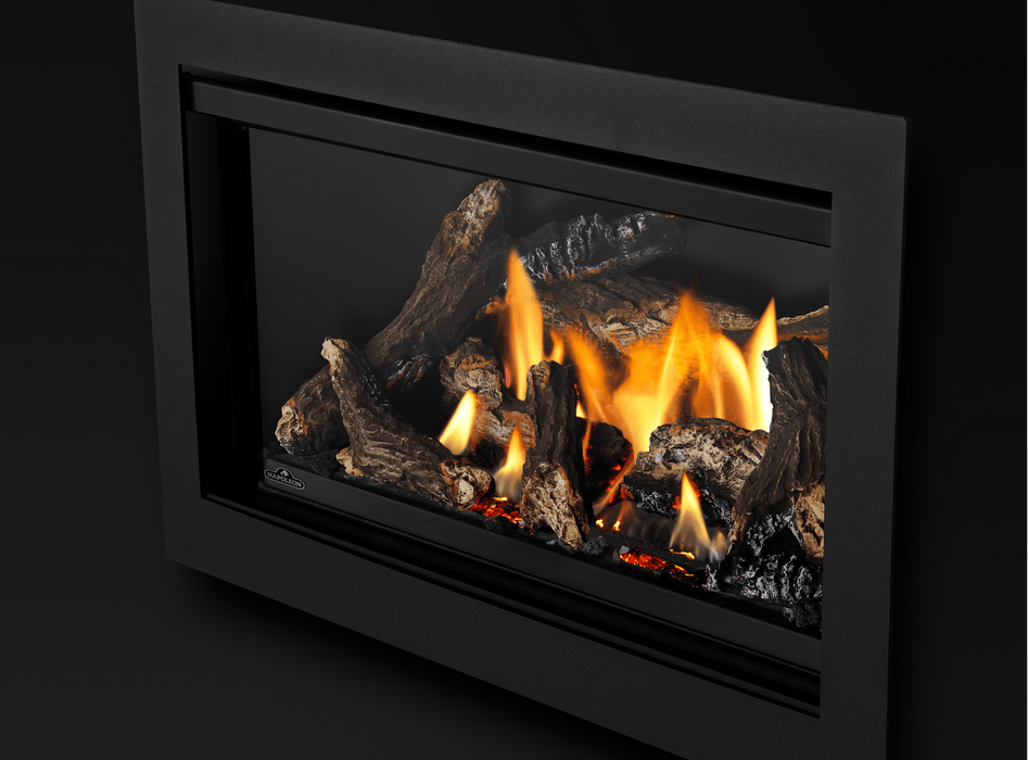 Napoleon Napoleon Rosedale 2 Gas Insert RD2NE Fireplace Finished - Gas