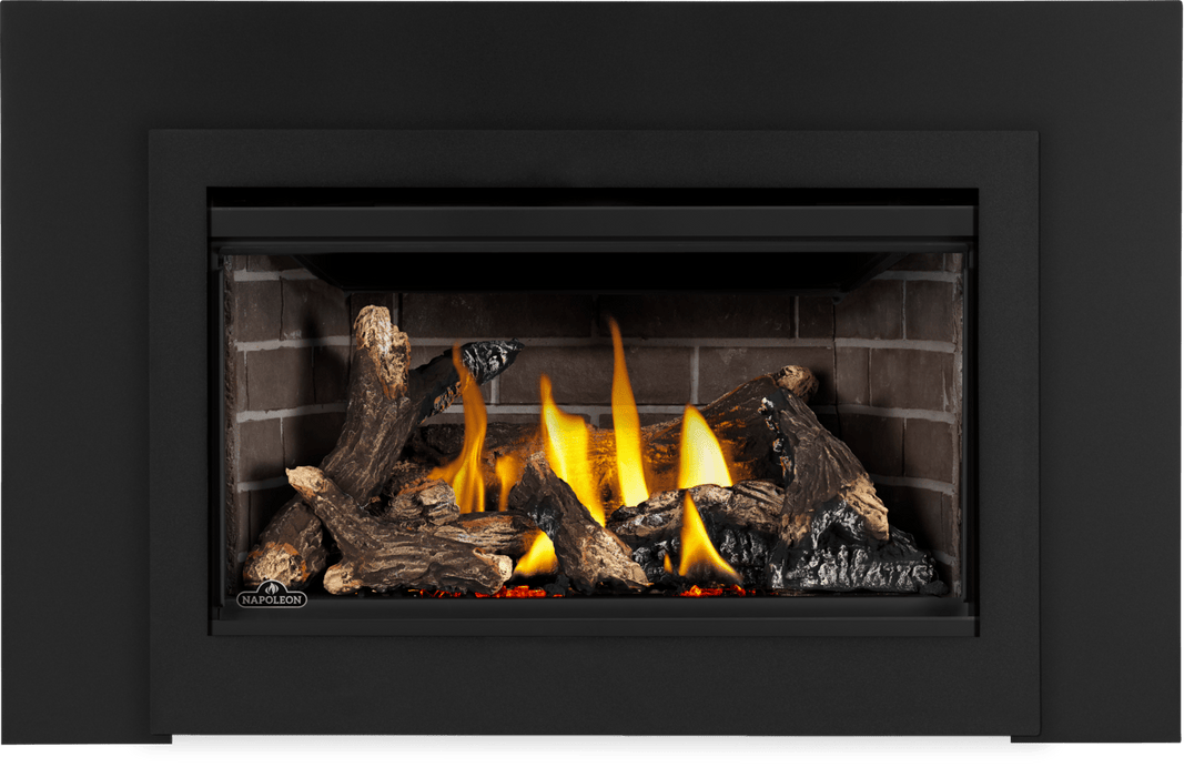 Napoleon Napoleon Rosedale 2 Gas Insert RD2NE Fireplace Finished - Gas