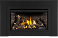 Napoleon Napoleon Rosedale 2 Gas Insert RD2NE Fireplace Finished - Gas
