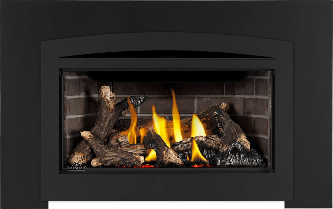 Napoleon Napoleon Rosedale 2 Gas Insert RD2NE Fireplace Finished - Gas