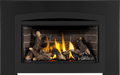 Napoleon Napoleon Rosedale 2 Gas Insert RD2NE Fireplace Finished - Gas