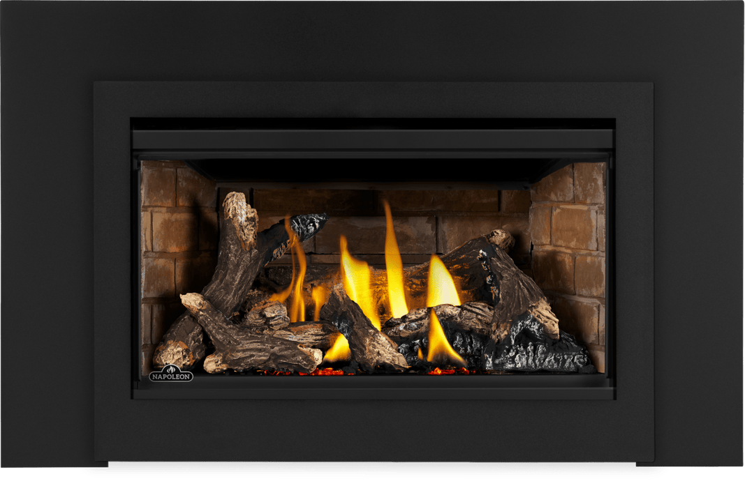 Napoleon Napoleon Rosedale 2 Gas Insert RD2NE Fireplace Finished - Gas