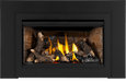 Napoleon Napoleon Rosedale 2 Gas Insert RD2NE Fireplace Finished - Gas