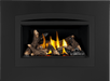 Napoleon Napoleon Rosedale 2 Gas Insert RD2NE Fireplace Finished - Gas