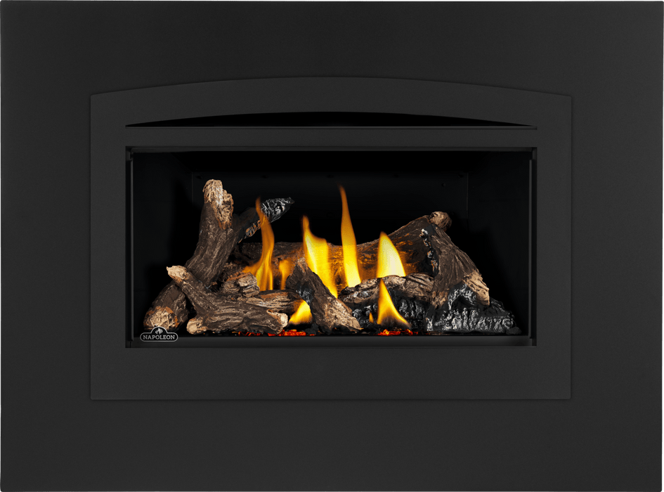 Napoleon Napoleon Rosedale 2 Gas Insert RD2NE Fireplace Finished - Gas