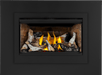 Napoleon Napoleon Rosedale 2 Gas Insert RD2NE Fireplace Finished - Gas