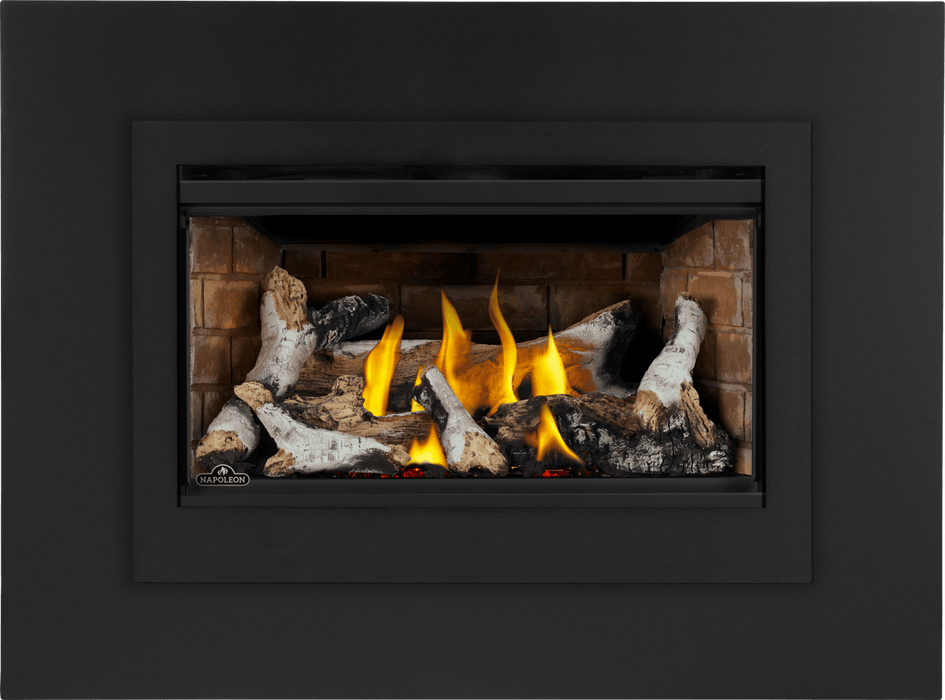 Napoleon Napoleon Rosedale 2 Gas Insert RD2NE Fireplace Finished - Gas