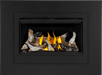 Napoleon Napoleon Rosedale 2 Gas Insert RD2NE Fireplace Finished - Gas