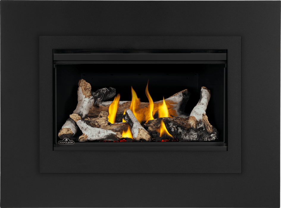 Napoleon Napoleon Rosedale 2 Gas Insert RD2NE Fireplace Finished - Gas