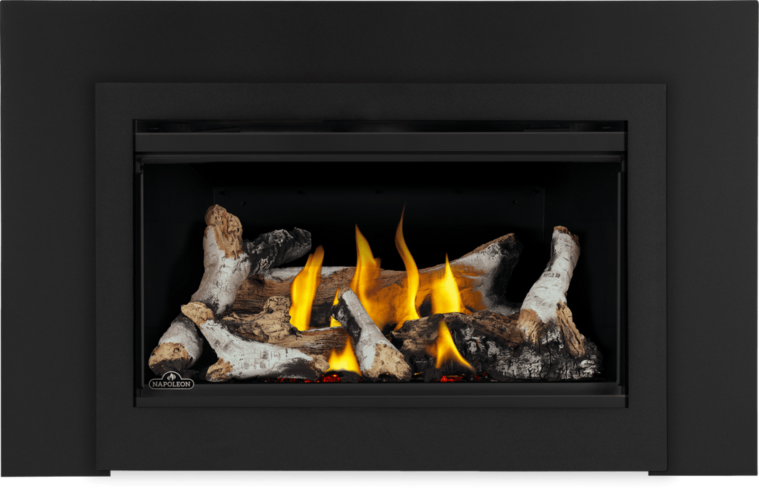 Napoleon Napoleon Rosedale 2 Gas Insert RD2NE Fireplace Finished - Gas