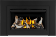 Napoleon Napoleon Rosedale 2 Gas Insert RD2NE Fireplace Finished - Gas