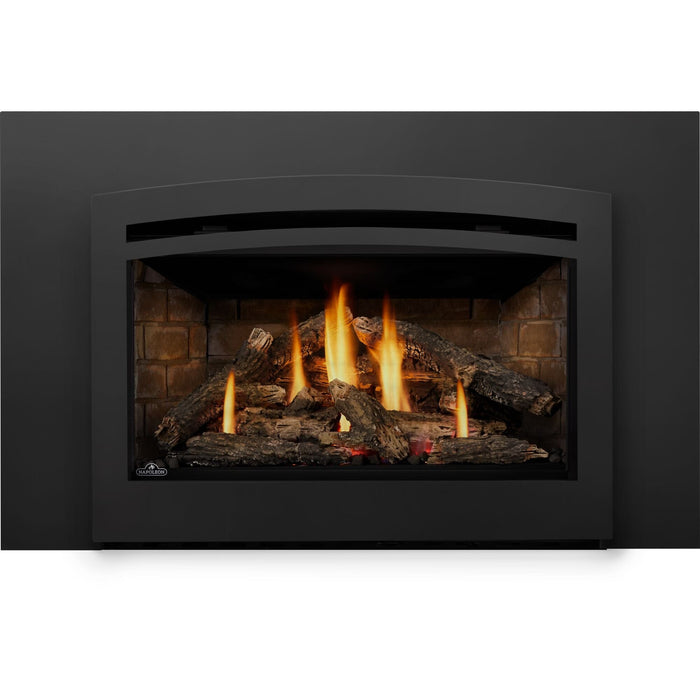 Napoleon Napoleon Rosedale 3 Gas Insert RD3N Fireplace Finished - Gas